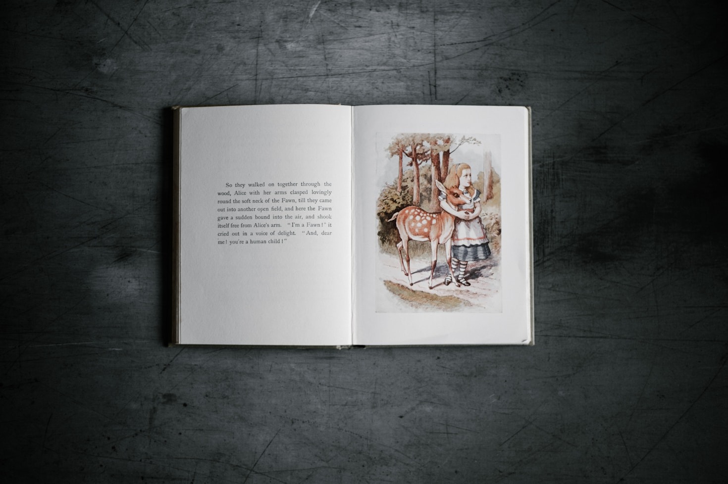 Building Swim Skills Through Playful Literature